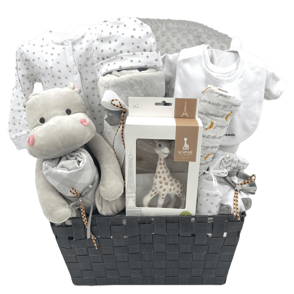 Premium Baby Gift Baskets Essentials For Your Little One's Joy