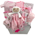 Panier Hello Baby Girl