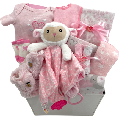 Hello Baby Girl Basket