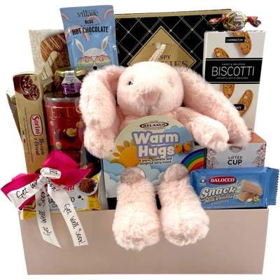 Comfort and Care Recovery Gift Basket