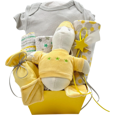 Lil' Ducky's Newborn Comfort: Deluxe Baby Basket