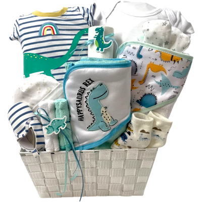 Baby Dinosaur Basket