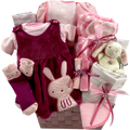 Blush and Berry Dreams Baby Girl Gift Basket