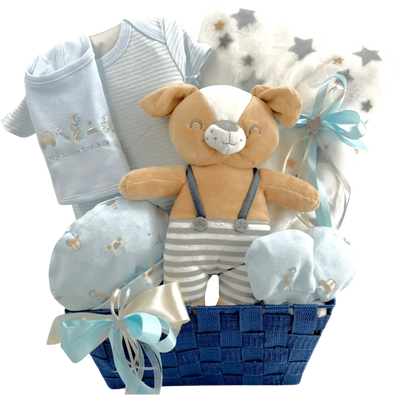 Lil Teddy Arrival Boy - The Perfect Baby Boy Gift Basket