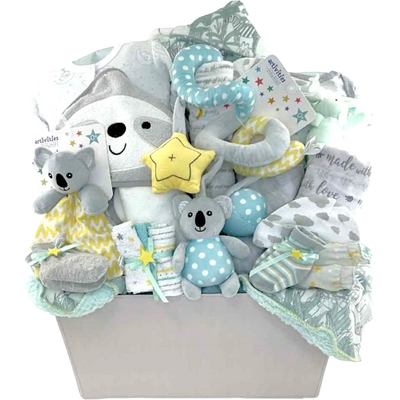 Sleepy Sloth's Koala Cuddle Newborn Gift Basket