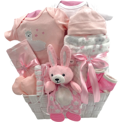 Cuddle Bunny Dreams Baby Girl Gift Basket
