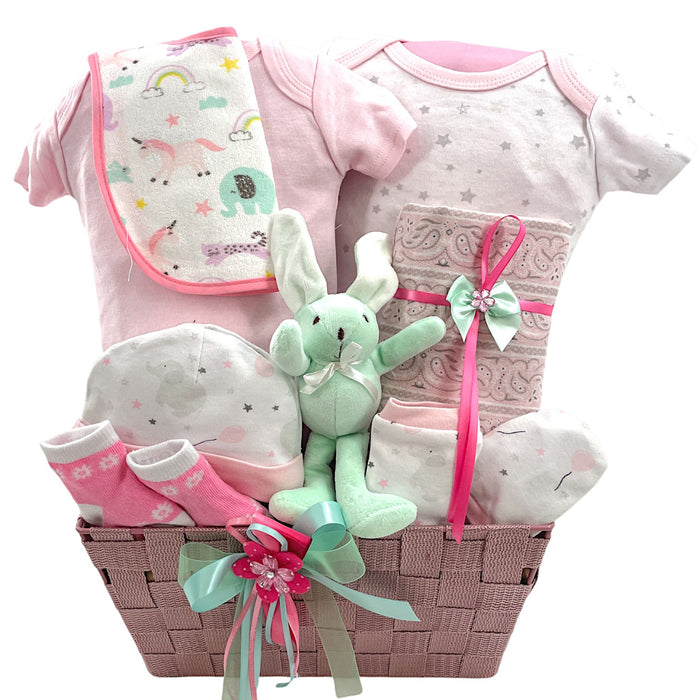 Lil Teddy Arrival Baby Girl Gift Basket