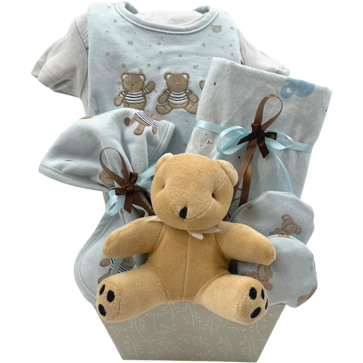 My First Teddy Bear Snuggle Gift
