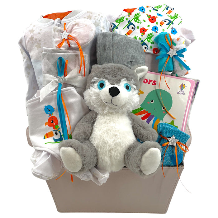 Welcome Gift Basket Gender Neutral Baby Gift Basket