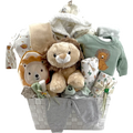 Bienvenue Bébé Lion