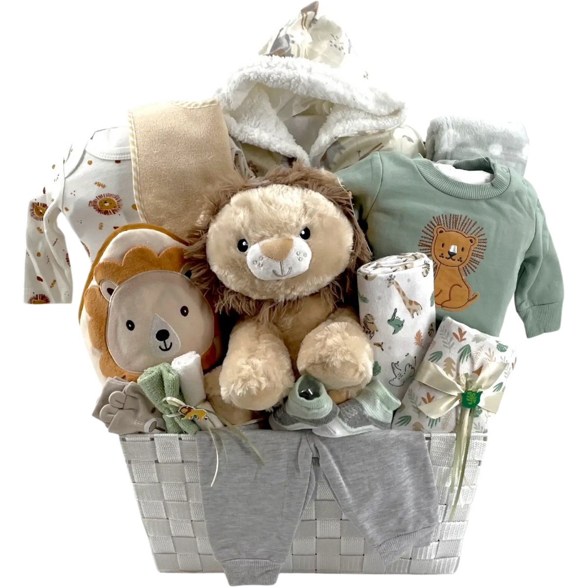 Bienvenue Bébé Lion