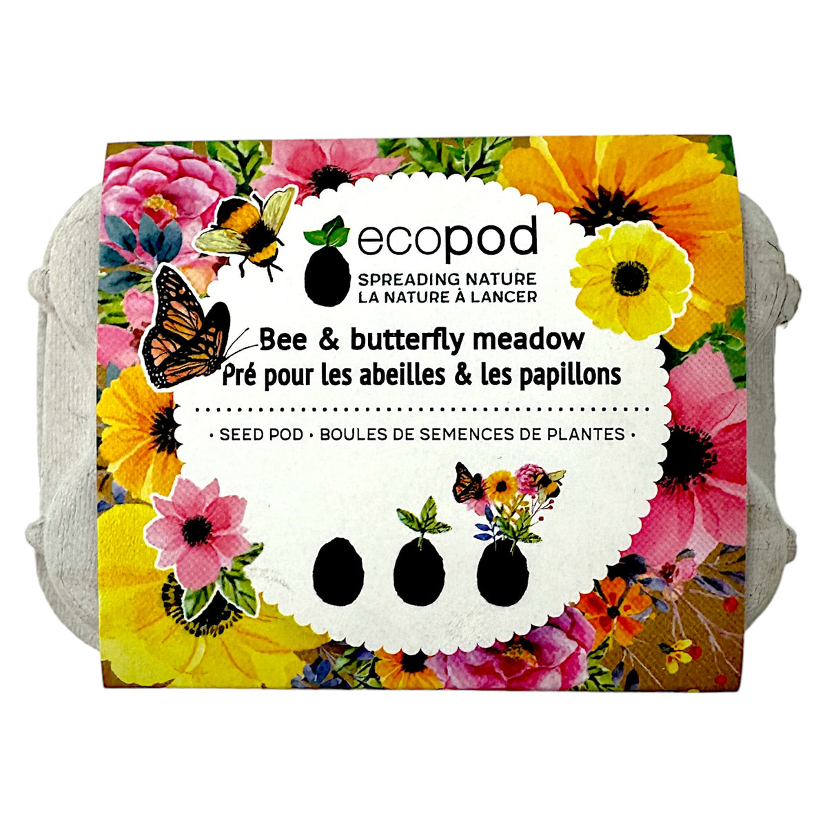 Enchanting Meadow Eco Pod Kit: Bee & Butterfly Haven