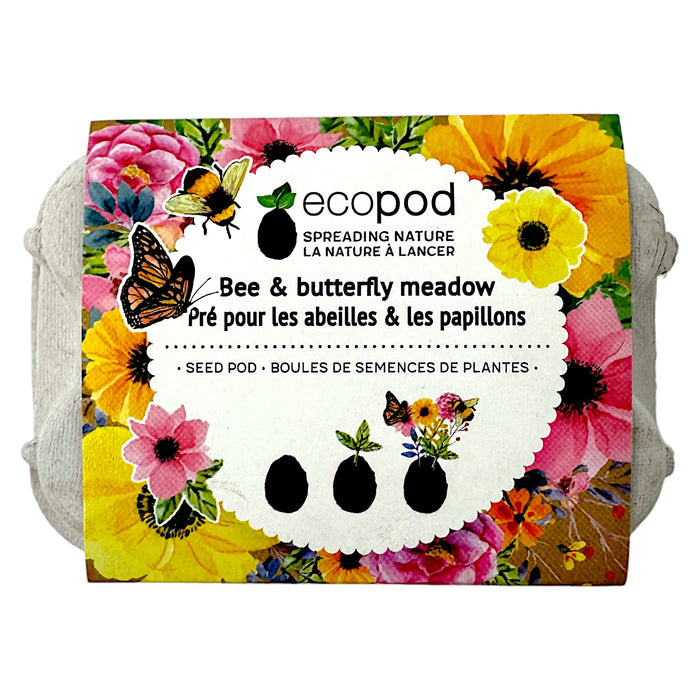 Enchanting Meadow Eco Pod Kit: Bee & Butterfly Haven 