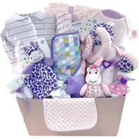 Baby Girl Giraffe Deluxe - Glitter Baskets -Baby Girl Gift Basket