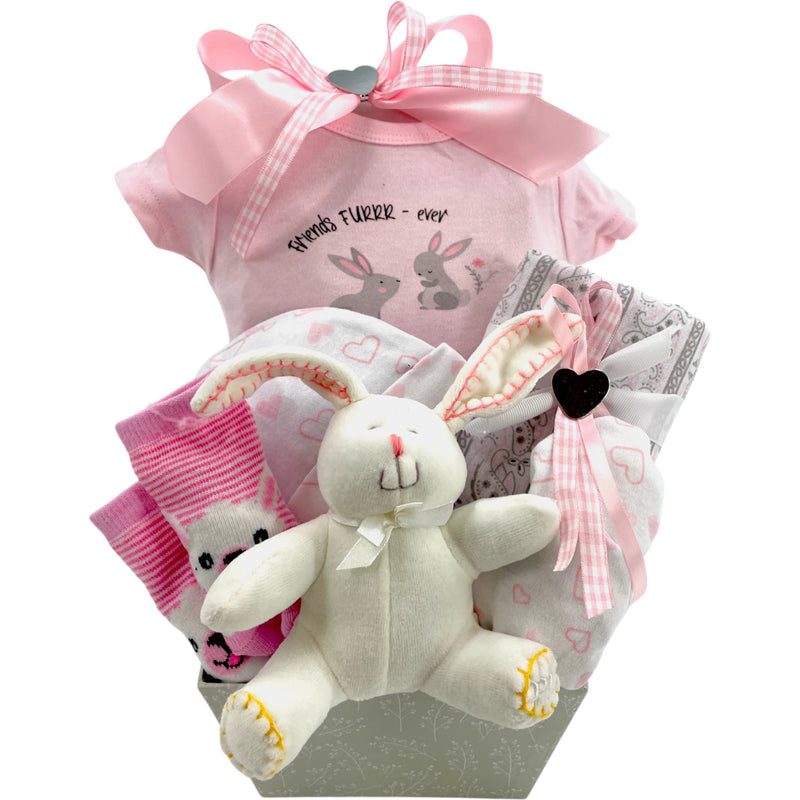 Bunny Hugs Baby Girl Gift Basket - Glitter Baskets - Baby Girl Gift Basket