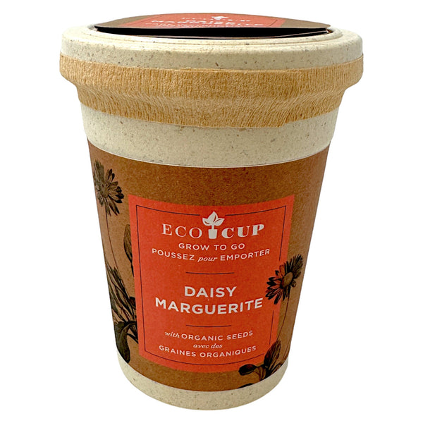 GrowGreen Daisy EcoCup - Easy Eco - Friendly Plant Kit - Glitter Baskets - 