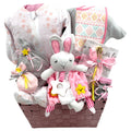 Hello Baby Girl Basket