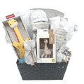 Joyful Journey New Baby Gift Basket