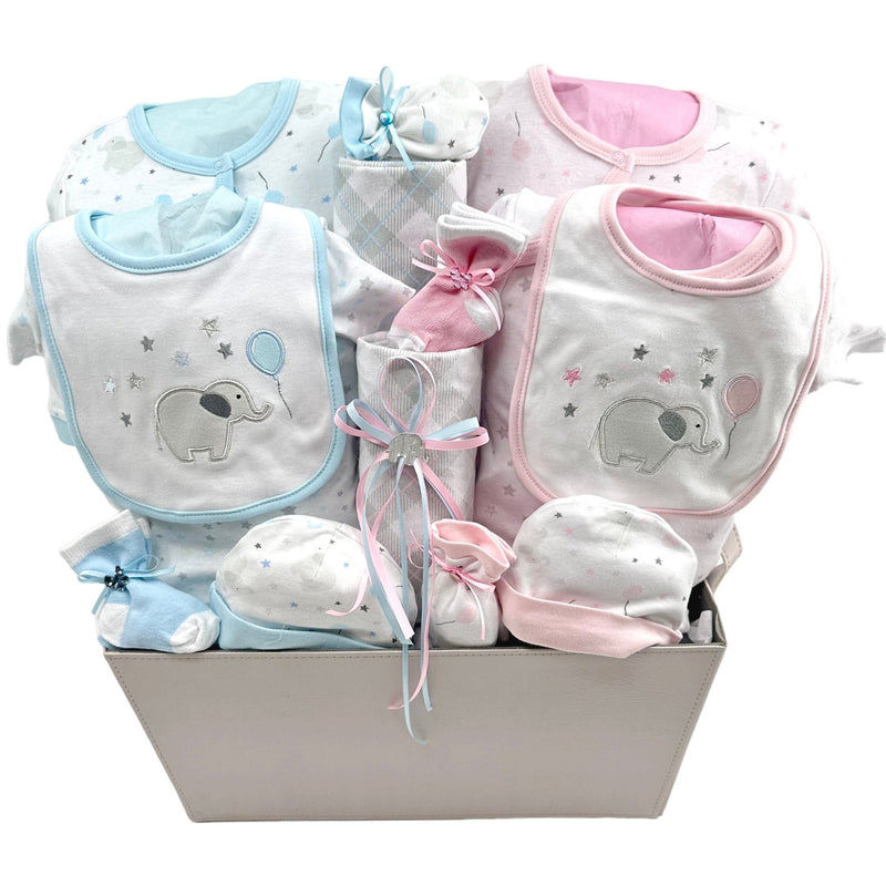 Precious Twin Arrival - Glitter Baskets - Twins Gift Basket