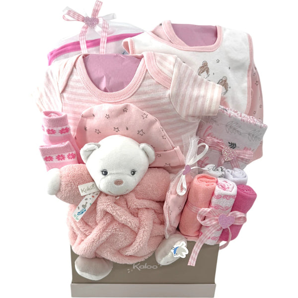 Pretty in Pink Baby Gift Basket - Glitter Baskets - Baby Girl Gift Basket