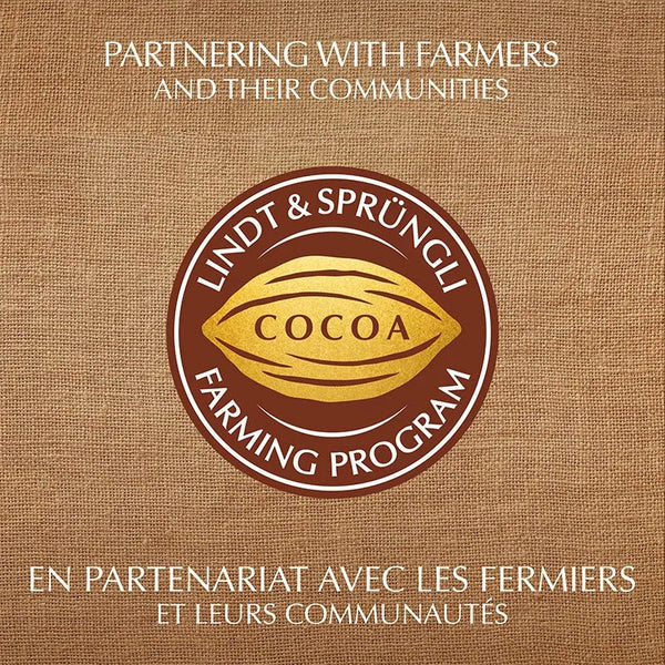 SALE - Lindor Assorted Chocolate Truffles Bag - REGULAR PRICE 16$ - Glitter Baskets - 