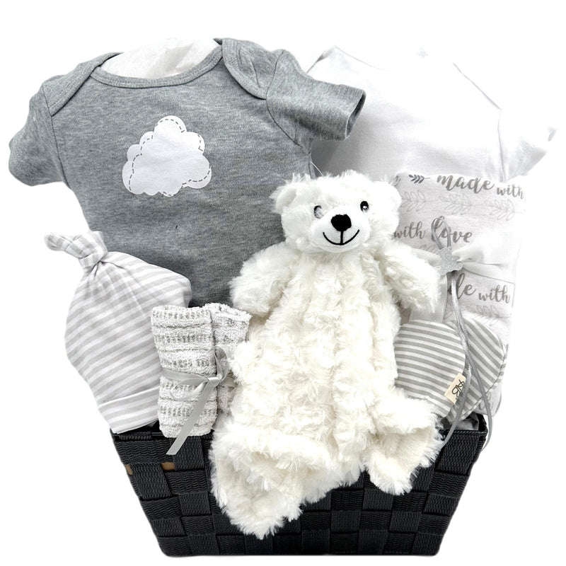 Teddy Bear Arrival - Glitter Baskets - Gender Neutral Baby Gift Basket