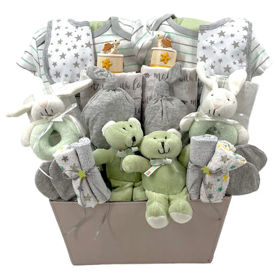 Twins Arrival (Unisex) - Glitter Baskets - Twins Gift Basket