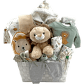 Welcome Baby Lion