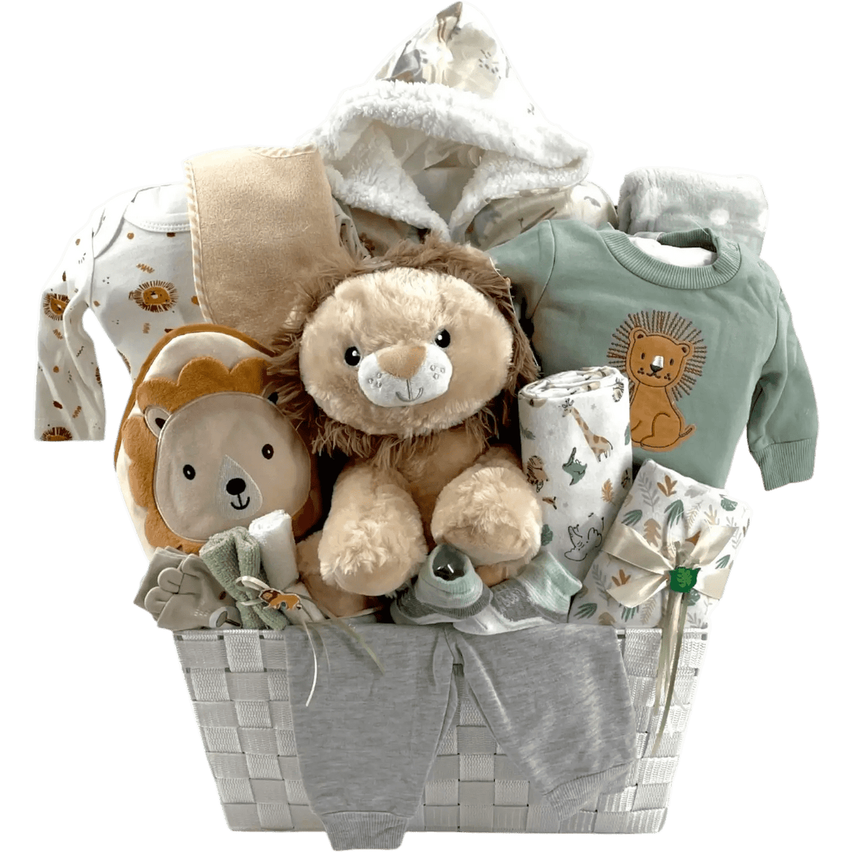 Welcome Baby Lion