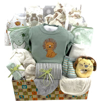 Welcome Baby Lion - Glitter Baskets - Baby Boy Gift Basket