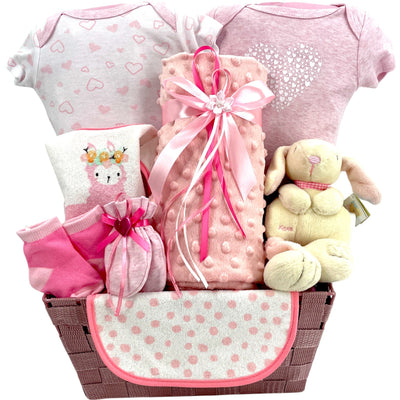Welcome Lil Girl - Glitter Baskets - Baby Girl Gift Basket