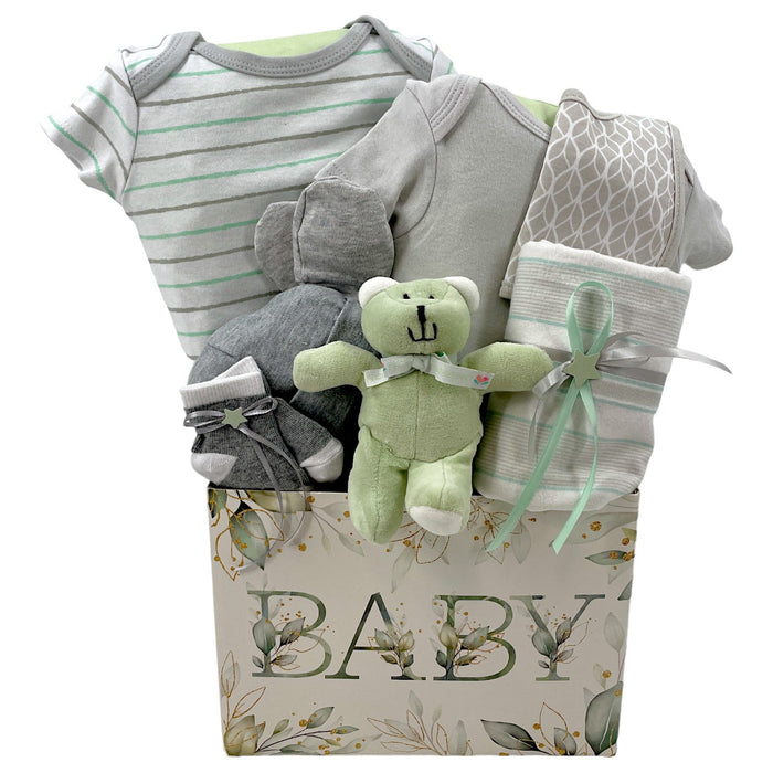 Welcome to the world - Glitter Baskets - Gender Neutral Baby Gift Basket