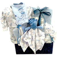 Zebra Dreams Baby Boy Gift Basket - Glitter Baskets - Baby Boy Gift Basket