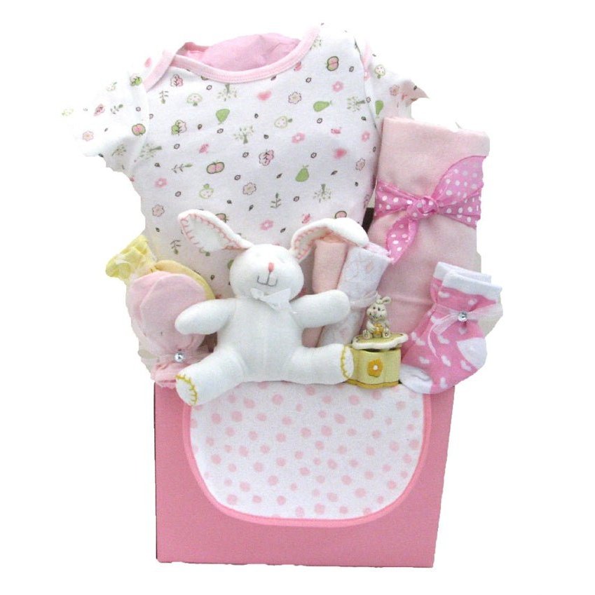 Baby Gift Basket for Newborn Girls | Baby Gift Baskets