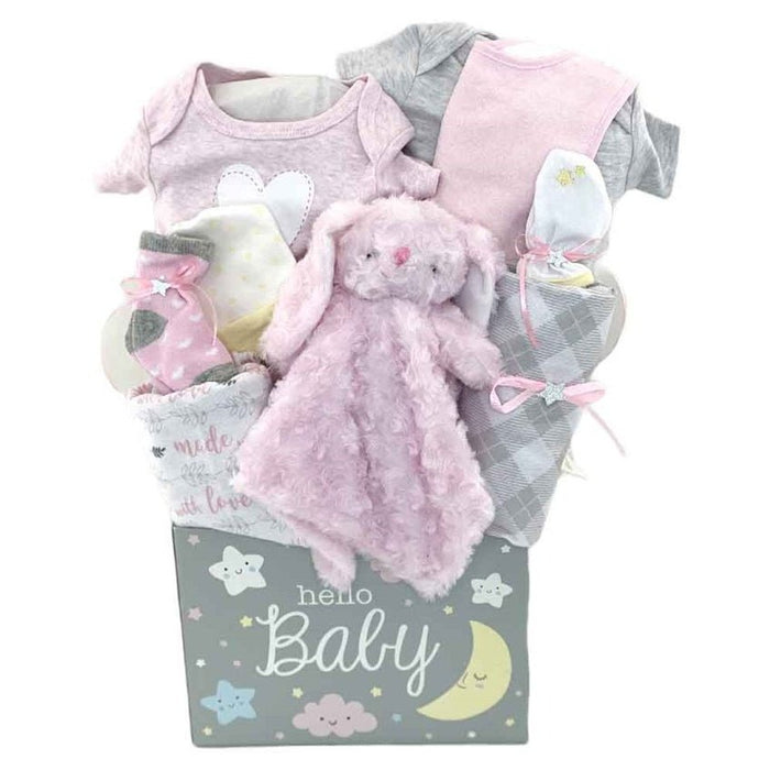 Hello Baby Girl Basket - Glitter Gift Baskets