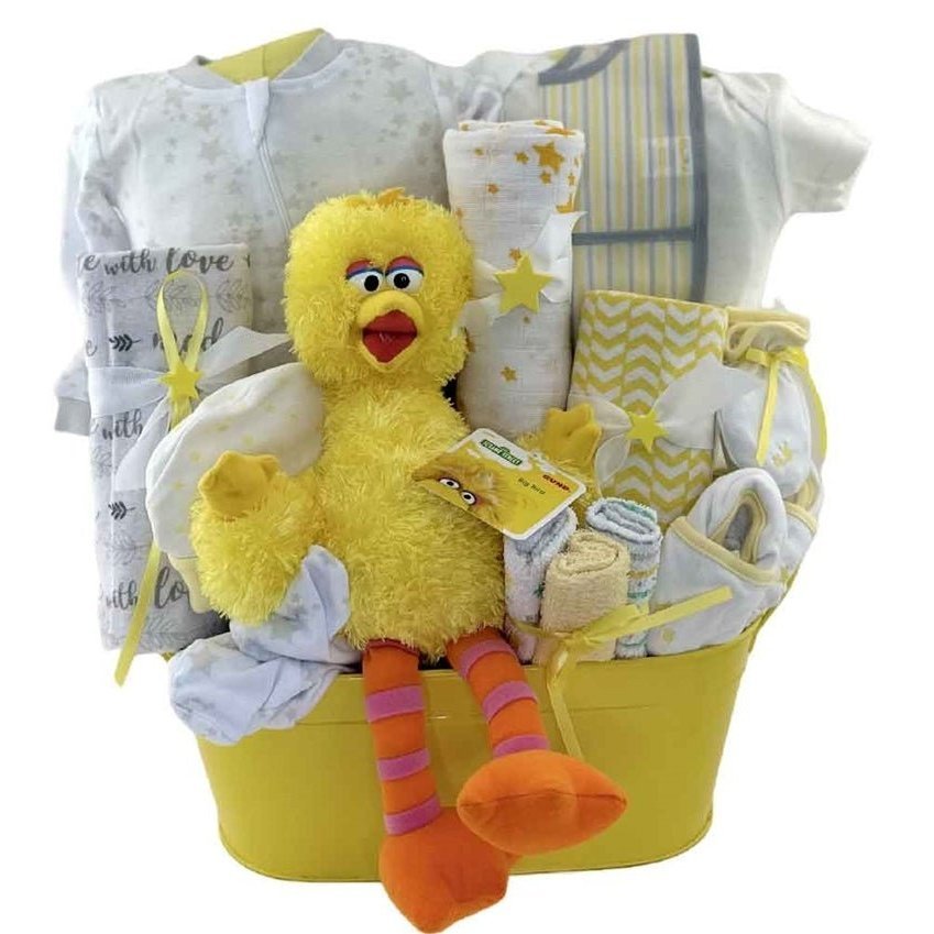 Baby Big Bird Basket - Glitter Baskets - Gender Neutral Baby Gift Basket