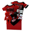 Detroit Red Wings Basket