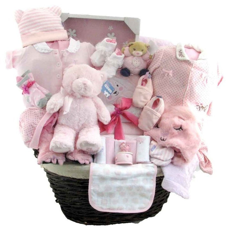 The Princesses Supreme Arrival - Glitter Baskets - Baby Girl Gift Basket